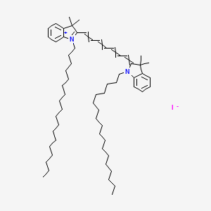 DiR