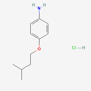 4-(Isopentyloxy)aniline Hydrochloride
