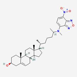 25-((7-chloro-4-nitrobenz-2-oxa-1,3-diazole)methylamino)-27-norcholesterol