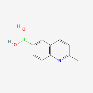 (2-Methyl-6-quinolinyl)boronic acid