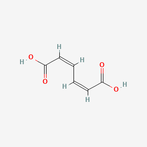 (2Z,4Z)-Hexa-2,4-dienedioic Acid