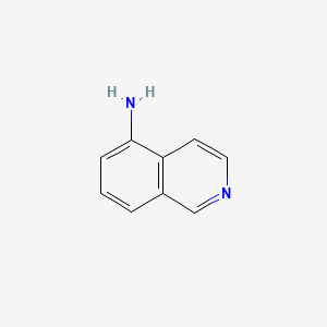 Isoquinolin-5-amine