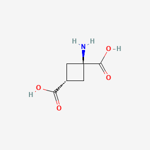 trans-1-Aminocyclobutane-1,3-dicarboxylic Acid