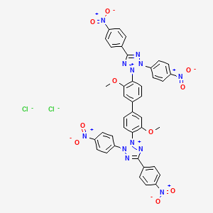 Tetranitro blue tetrazolium chloride, 97%