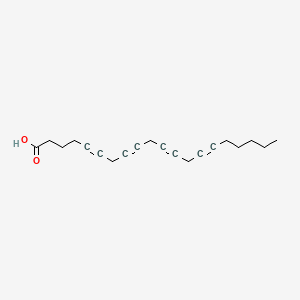 5,8,11,14-Eicosatetraynoic acid