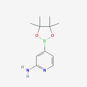 2-Aminopyridine-4-boronic acid pinacol ester, 97%