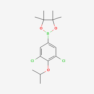 3,5-Dichloro-4-isopropoxyphenylboronic acid pinacol ester