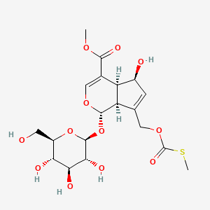 Paederosidic Acid Methyl Ester