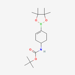 tert-Butyl [4-(4,4,5,5-Tetramethyl-1,3,2-dioxaborolan-2-yl)cyclohex-3-en-1-yl]carbamate