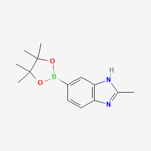 2-Methyl-1H-benzimidazole-5-boronic acid pinacol ester, 97%