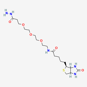 Biotin-PEG3-propionic hydrazide