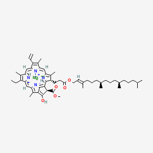 Chlorophyll