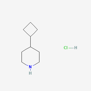 4-Cyclobutylpiperidine Hydrochloride