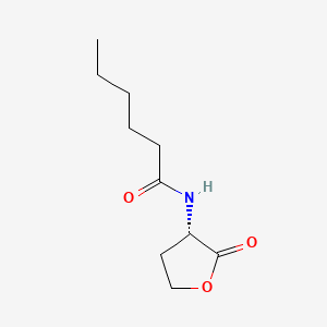 (S)-N-(2-Oxotetrahydrofuran-3-yl)hexanamide