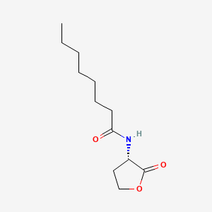 N-Octanoyl-L-homoserine Lactone