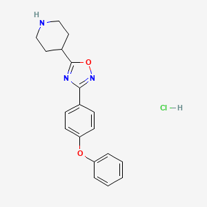 3-(4-Phenoxyphenyl)-5-(piperidin-4-yl)-1，2，4-oxadiazole hydrochloride