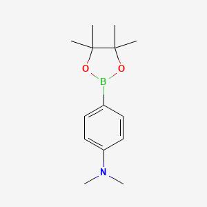 4-(Dimethylamino)phenylboronic acid pinacol ester, 97%