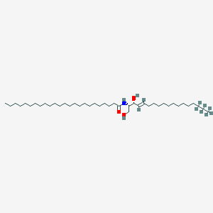 C24-Ceramide-d7