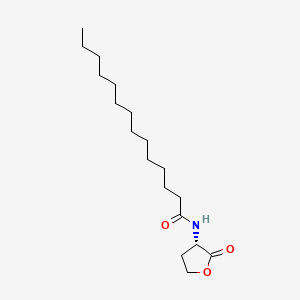 N-Tetradecanoyl-L-homoserine Lactone