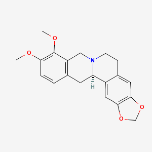 (R)-(+)-Canadine