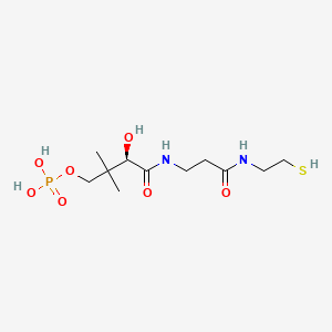 (R)-3-Hydroxy-4-((3-((2-mercaptoethyl)amino)-3-oxopropyl)amino)-2,2-dimethyl-4-oxobutyl dihydrogen phosphate