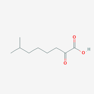 7-Methyl-2-oxooctanoic acid