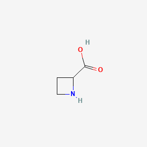 Azetidine-2-carboxylic acid