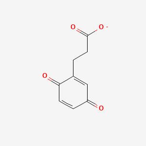 3,6-Dioxo-1,4-cyclohexadiene-1-propanoic acid ion(1-)