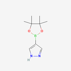 1H-Pyrazole-4-boronic acid pinacol ester, 98%