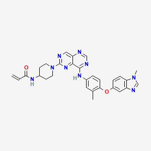 Zongertinib (BI 1810631)