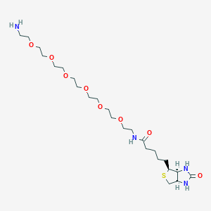 Biotin-PEG6-amine