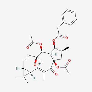 Euphorbiasteroid