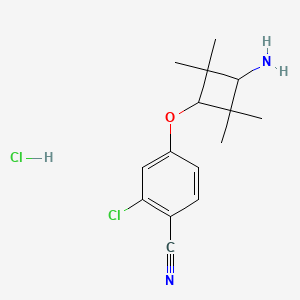 4-(3-Amino-2,2,4,4-tetramethylcyclobutoxy)-2-chlorobenzonitrile hydrochloride