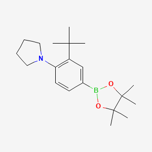 1-(2-(Tert-butyl)-4-(4,4,5,5-tetramethyl-1,3,2-dioxaborolan-2-yl)phenyl)pyrrolidine