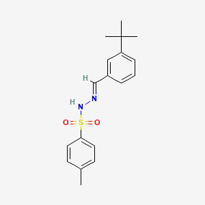 (E)-N'-(3-(tert-butyl)benzylidene)-4-methylbenzenesulfonohydrazide