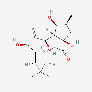 7β-Hydroxylathyrol