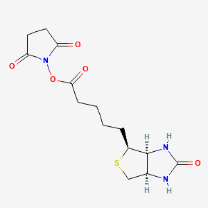 (+)-Biotin N-hydroxysuccinimide ester, 98%