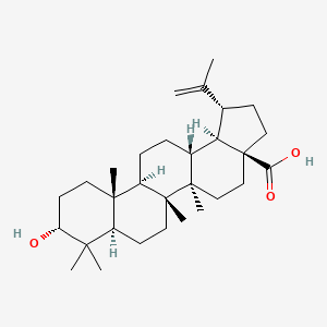 Epibetulinic Acid