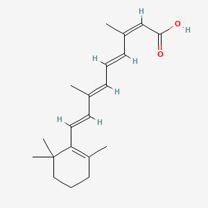 13-cis-Retinoic acid
