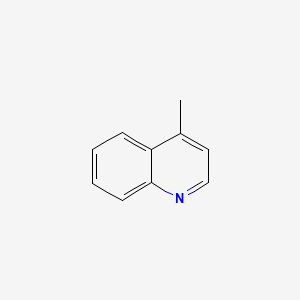 4-Methylquinoline, 98%