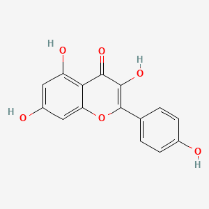 kaempferol