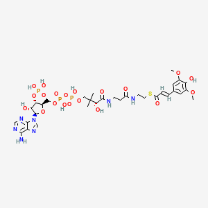 Sinapoyl-CoA