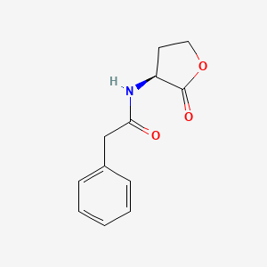 N-Phenylacetyl-L-homoserine Lactone