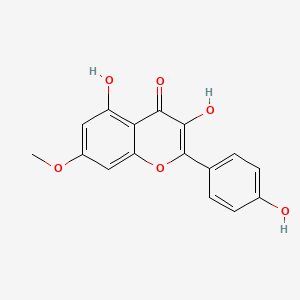 Rhamnocitrin