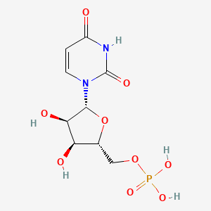 Uridine 5'-Monophosphate
