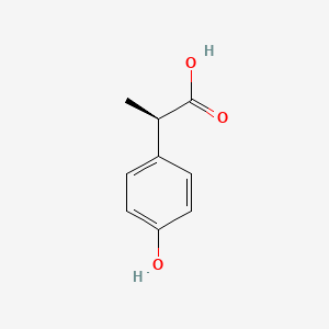 (R)-2-(4-Hydroxyphenyl)propanoic acid