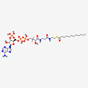 Lauroyl coenzyme A