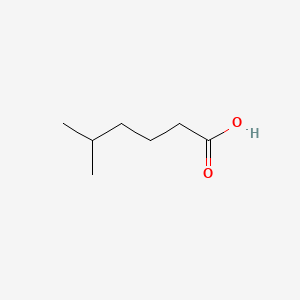 5-Methylhexanoic acid, 98%