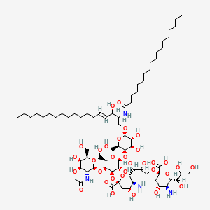 GD2-Ganglioside