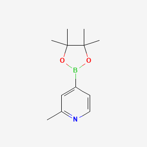 2-Methylpyridine-4-boronic acid pinacol ester, 95%